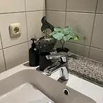 Moewennest Suedstrand Apartman